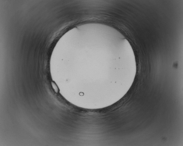 X0000115790444200912241835