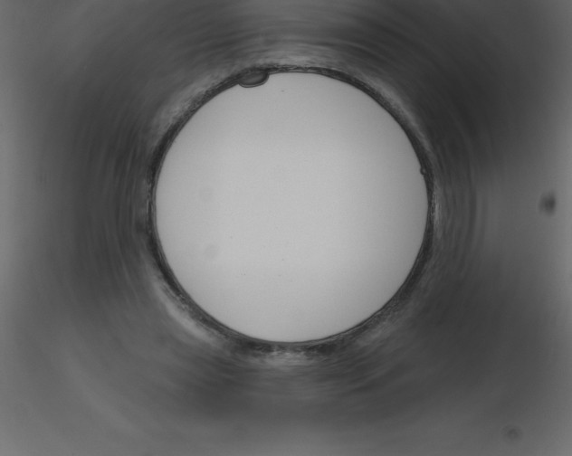 X0000115790445200912241835