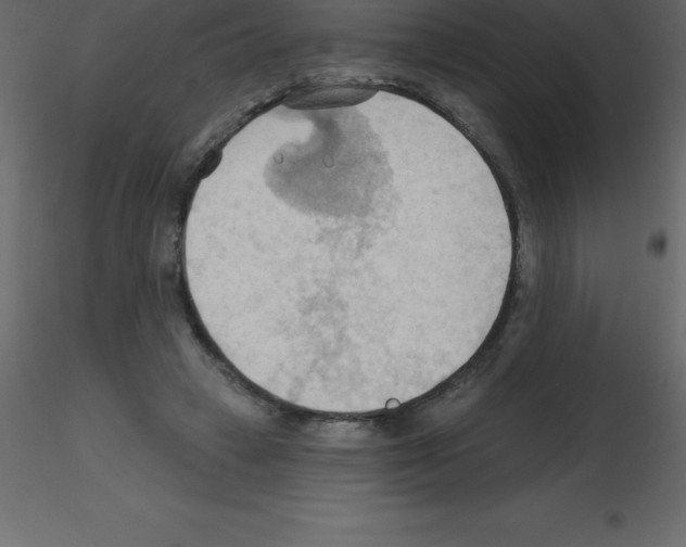 X0000115790449200912241835