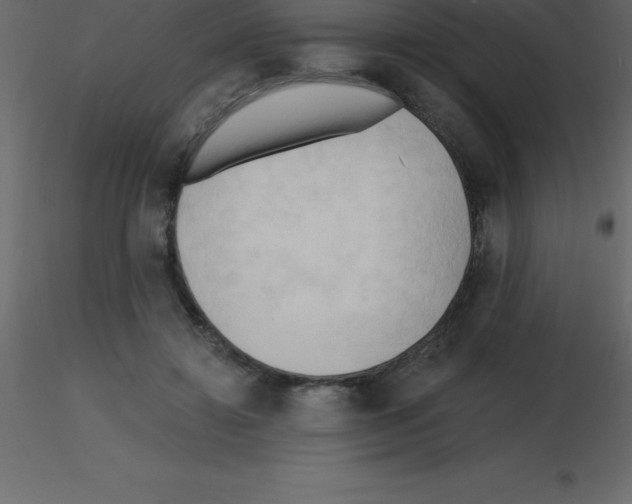X0000115790452200912241835