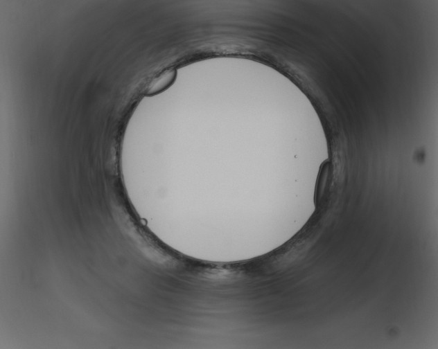 X0000115790453200912241835