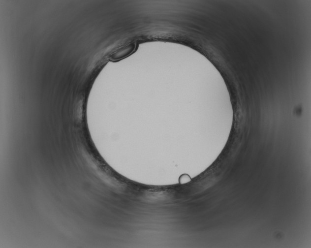 X0000115790454200912241835