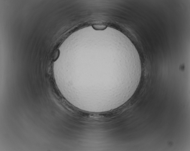 X0000115790455200912241835