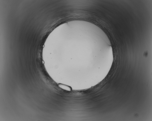 X0000115790456200912241835