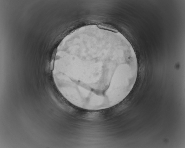 X0000115790459200912241835