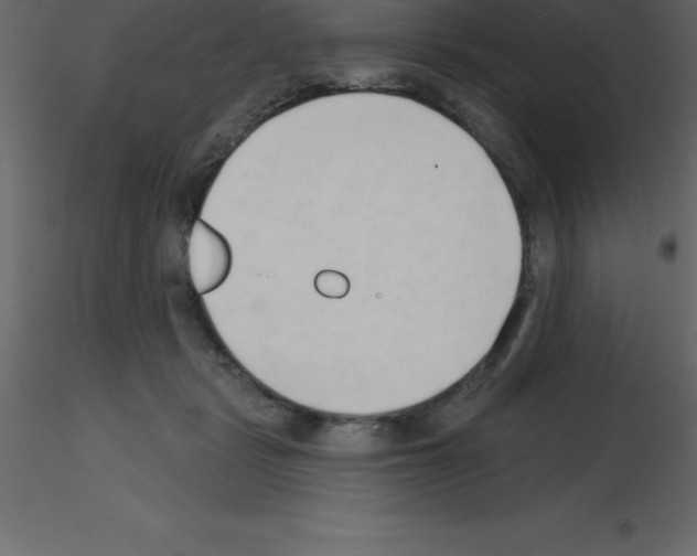 X0000115790461200912241835