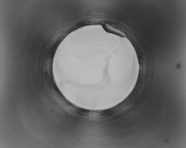 X0000115790462200912241835
