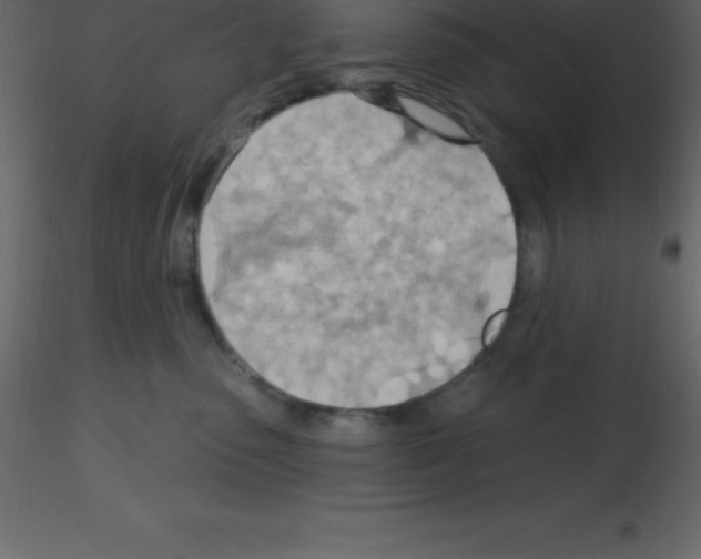 X0000115790475200912241835