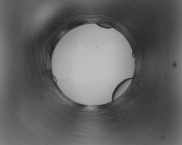 X0000115790477200912241835