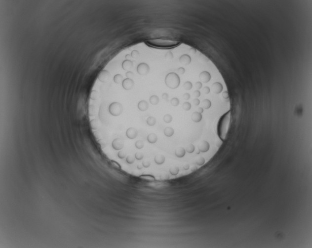 X0000115790478200912241835