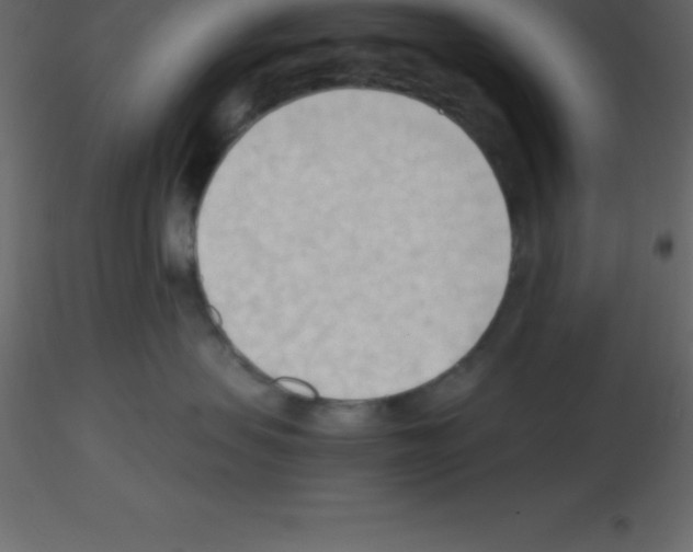 X0000115790479200912241835