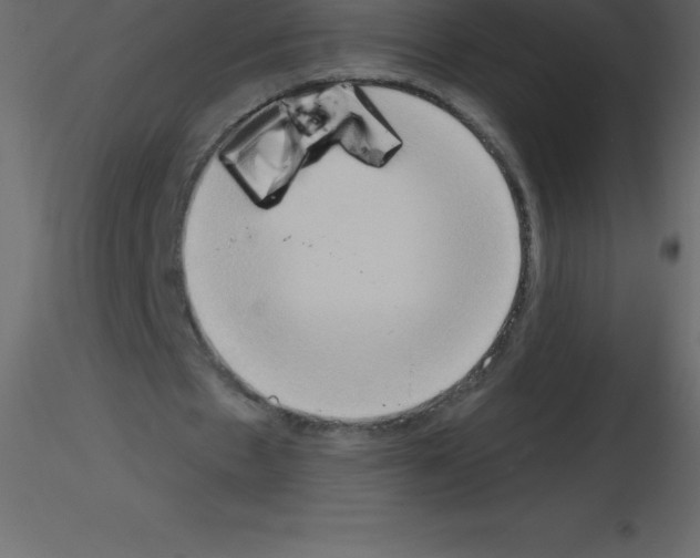 X0000115790481200912241835