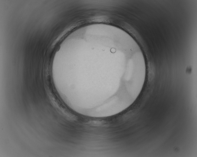 X0000115790482200912241835