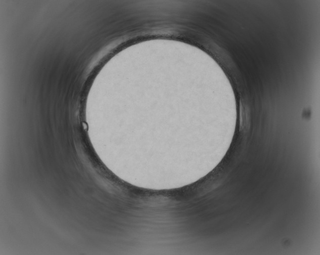 X0000115790483200912241835