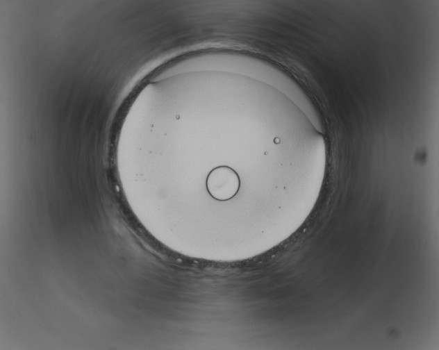 X0000115790484200912241835