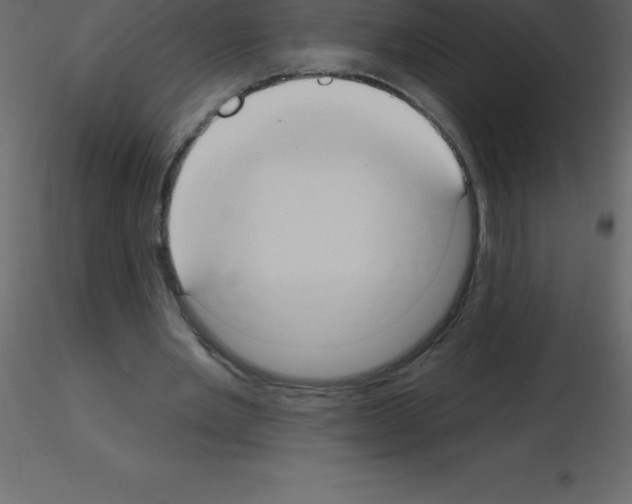X0000115790485200912241835