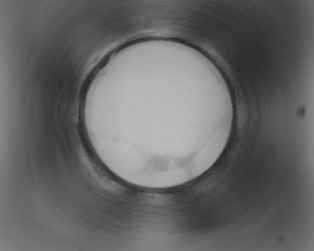X0000115790486200912241835