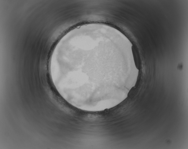 X0000115790487200912241835