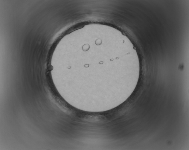 X0000115790488200912241835