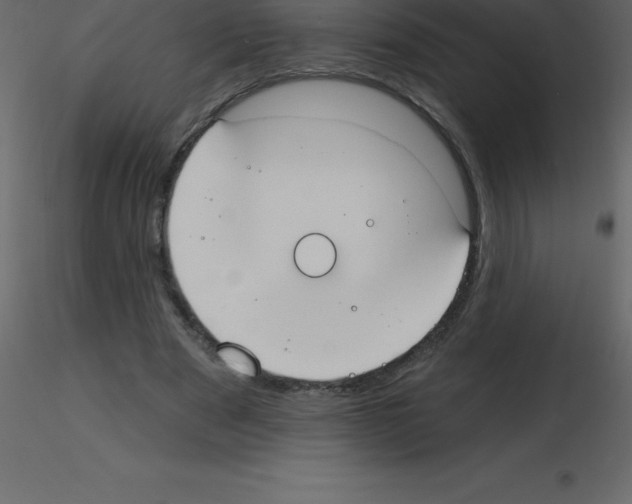 X0000115790489200912241835