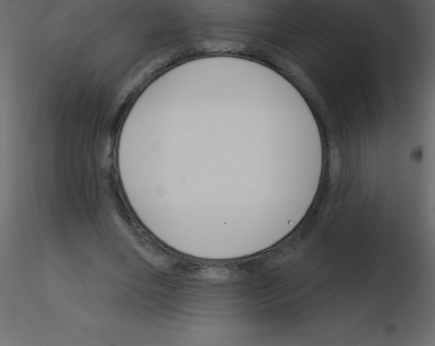 X0000115790490200912241835