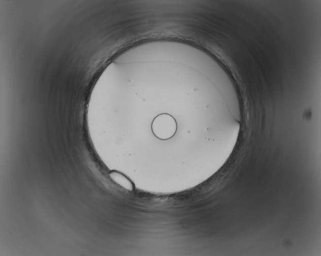 X0000115790493200912241834