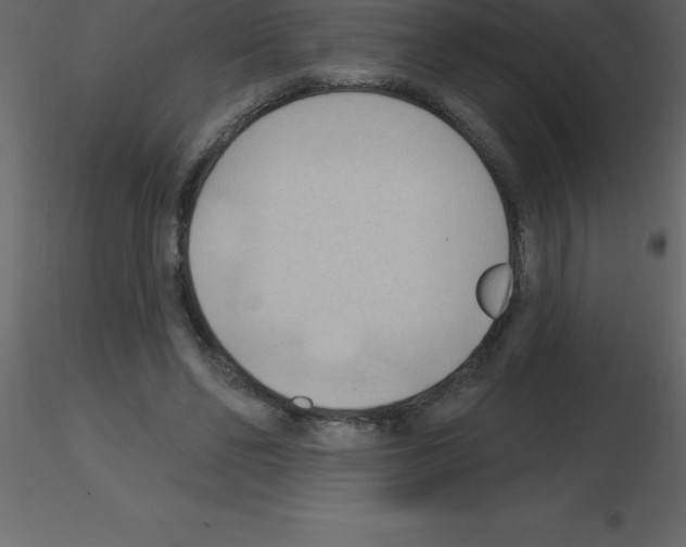 X0000115790494200912241834