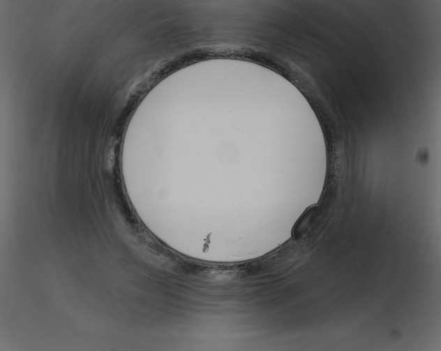 X0000115790495200912241834
