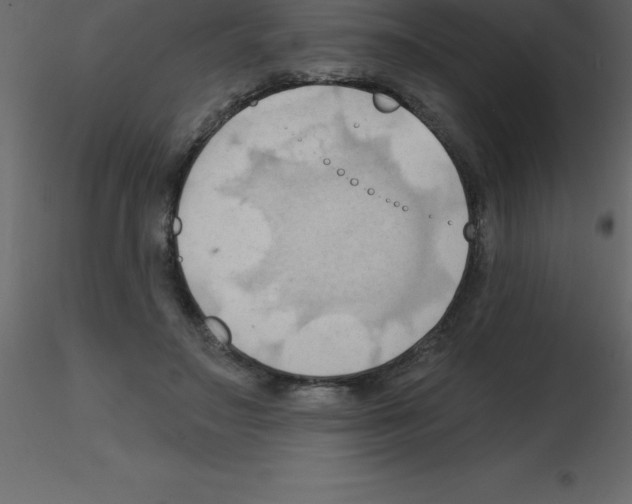 X0000115790499200912241834