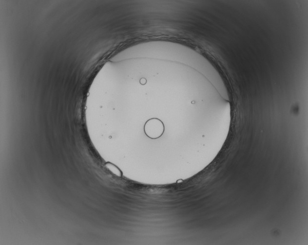 X0000115790501200912241834