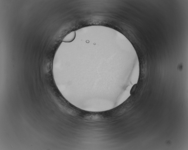 X0000115790503200912241834