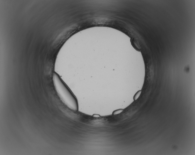 X0000115790505200912241834