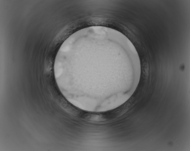X0000115790507200912241834