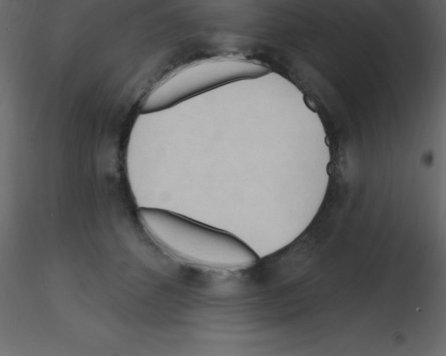 X0000115790512200912241834