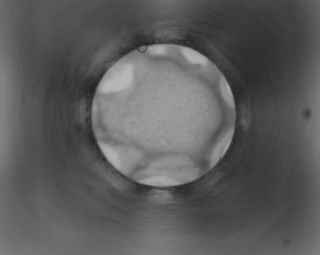X0000115790519200912241834