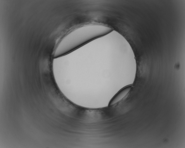 X0000115790520200912241834