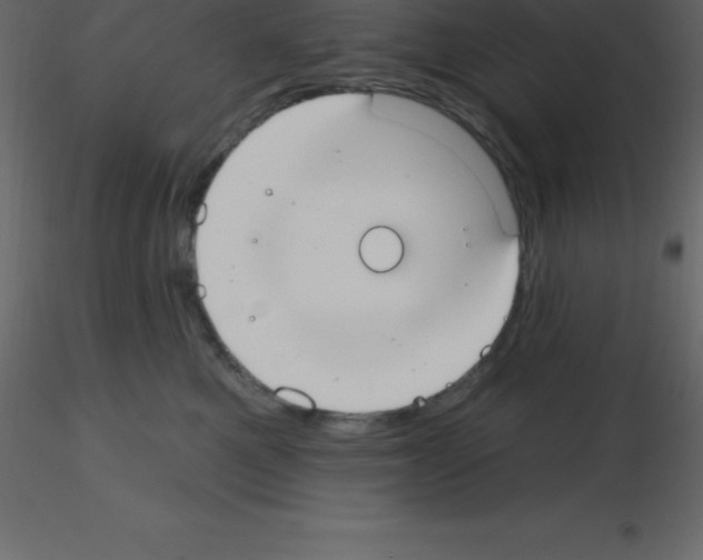 X0000115790521200912241834