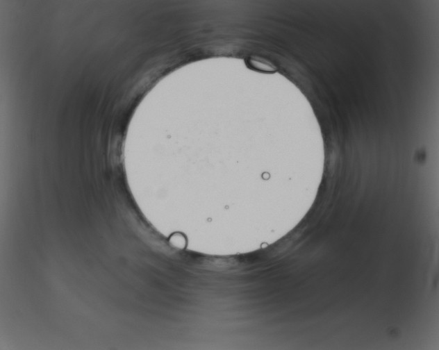 X0000115790525200912241834