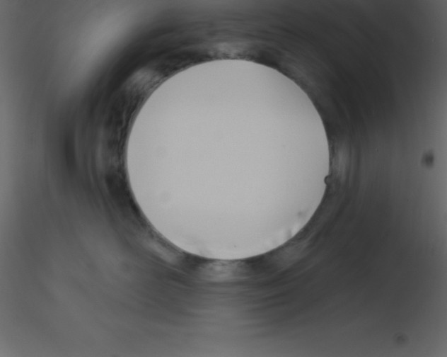 X0000115790526200912241834