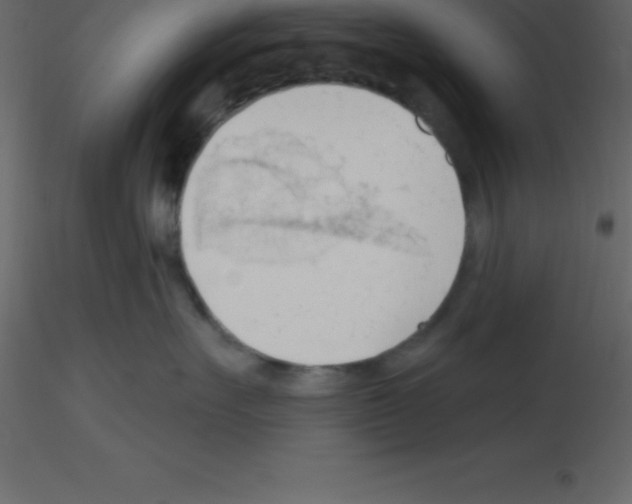 X0000115790527200912241834