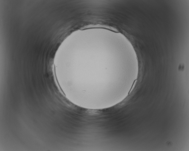 X0000115790528200912241834