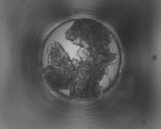 X0000115790529200912241833
