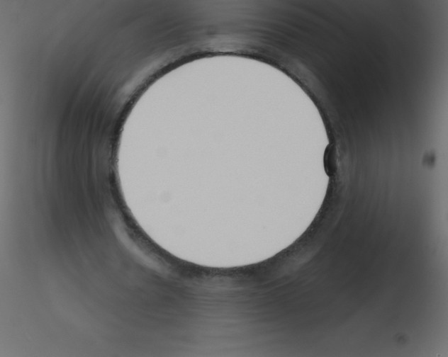 X0000115790530200912241833