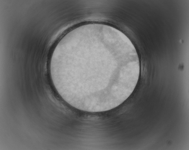 X0000115790531200912241833