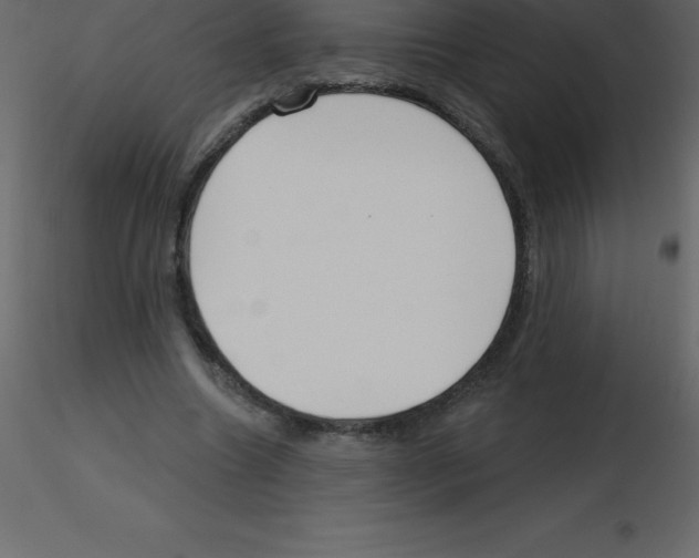 X0000115790538200912241833