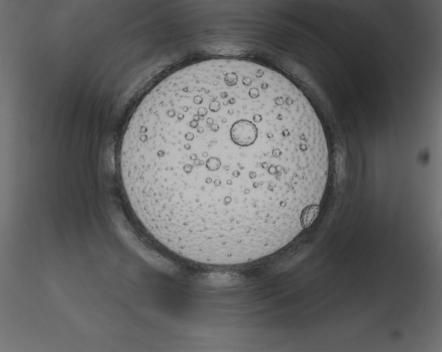 X0000115790541200912241833