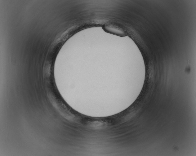X0000115790542200912241834