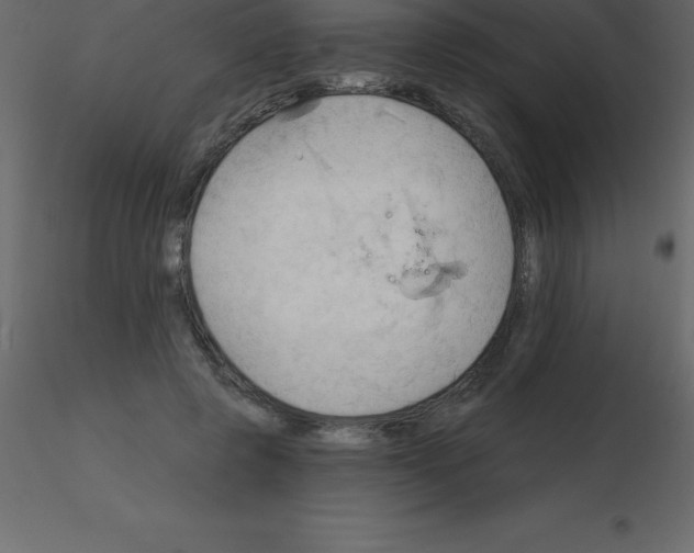 X0000115790545200912241834
