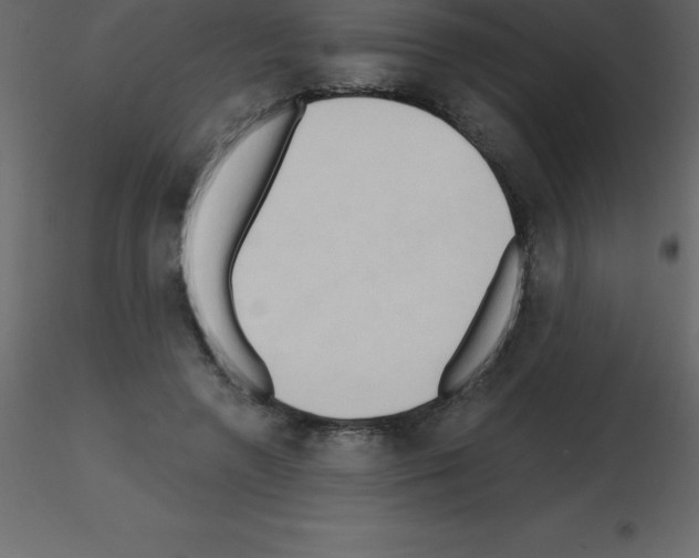 X0000115790546200912241834