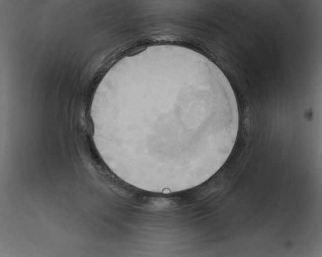 X0000115790547200912241834